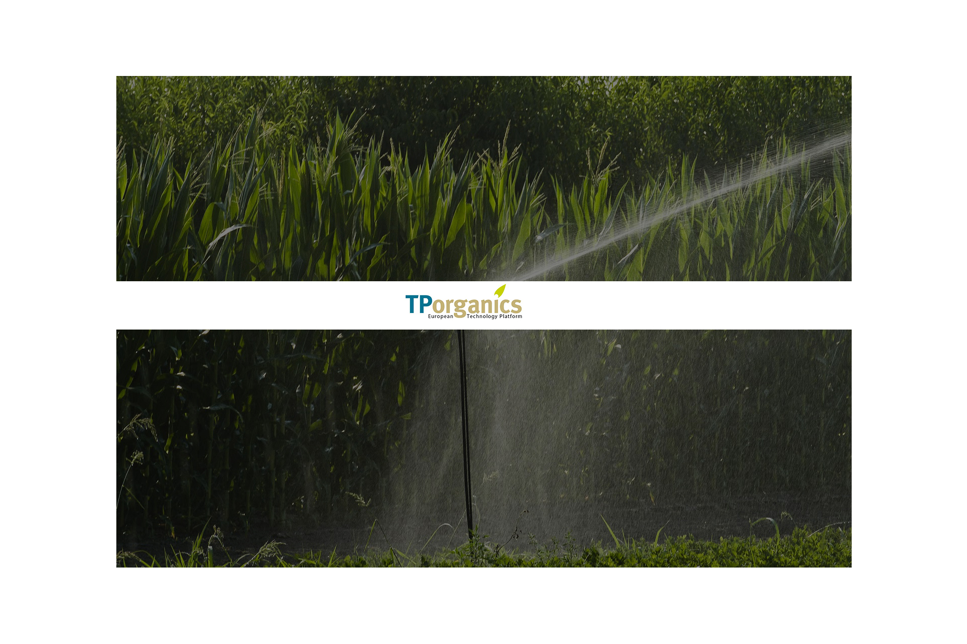 tp_header